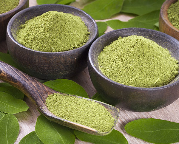 草藥粉碎混合生產線